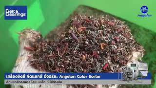 Angelon Color Sorter เครื่องคัดแยกสี คัดแยกทองแดง โลหะ เหล็ก ที่มีสีต่างกัน