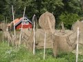 RITINGO „Eisva mudu abudu“
