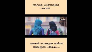 അവന്റെ ഉദ്ദേശം അറിയാതെ അവൾMakkanayil chutti Thanseel Knr Shijah Album Song