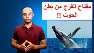 كيف عاش سيدنا يونس في بطن الحوت حقائق علمية !! من  قصص الحيوان في القرآن الكريم blue whale story