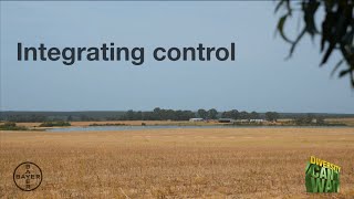 Integrating weed control