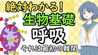 【生物基礎】呼吸　めたもる高校生物