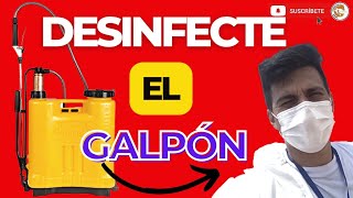 ✍️CÓMO DESINFECTAR EL GALPÓN DE LOS POLLOS DE ENGORDE🐔 COMO CRIAR POLLOS DE ENGORDE EN CASA🛀