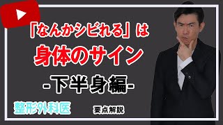 下肢のしびれ「神経」解説｜笠井整形外科