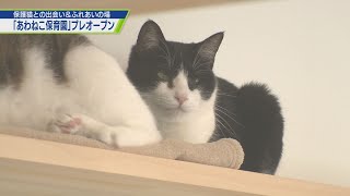 保護猫の開放型シェルターがプレオープン【テレビトクシマ】