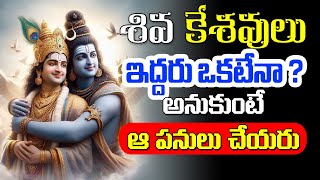 శివుడు.. విష్ణువులు ఒకటి ఎలా ? అసలు నిజం తెలిస్తే..  ఆ పనులు చేయరు ShivaTatvam 03 #arunachalam