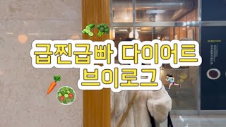 [vlog 다이어트] 급찐급빠로 시작하는 직장인 라이프(곱창, 추어탕, 오리고기 곁들인) 체중감량 기록하는 영상