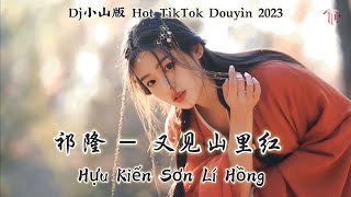 祁隆 - 又见山里红 Hựu Kiến Sơn Lí Hồng - Kỳ Long (Dj小山版 Hot TikTok Douyin 2023)