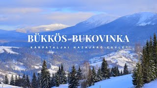 Bükkös