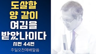 [John LeeDongHo Ministry] 도살할 양 같이 여김을 받았나이다 | 시편 44편 | 주일오전예배말씀 | 2024년 11월 03일