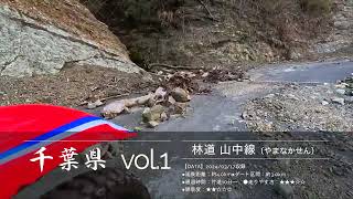 【千葉】林道 山中線（完抜） CRF250RALLY 収録2024/03/17 ※転倒あり