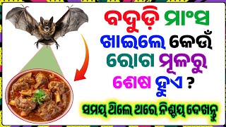 Odia Gk Question And Answers || General Knowledge Odia || Gk In Odia || Odia Gk Quiz || part - 20