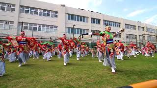 妃龍　2018 町田夢舞生ッスイ祭 シバヒロ会場