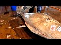 458kg Mega Bluefin Tuna Flawless Perfect Cutting Skill