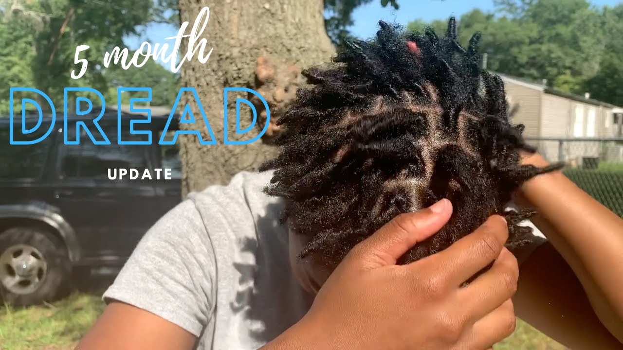 5 Month Dread Update Youtube