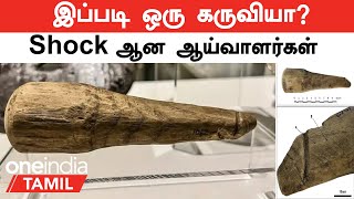 Rome | 2000 ஆண்டுகள் பழமையான 'பலான கருவி' | Shock ஆன ஆய்வாளர்கள் | Oneindia Tamil