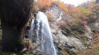 赤滝 Akataki Falls～絶景秘瀑･紅葉･扇ノ山奥深くに掛かる大きな秘境名瀑【日本の滝 兵庫 但馬 岸田川 Japanese waterfall Hyogo Kishida River】