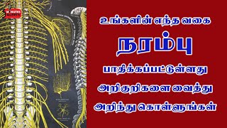 உங்களின் எந்த வகை நரம்பு பாதிக்கப்பட்டுள்ளது -அறிகுறிகள் என்ன ? -3 MINUTES ALERTS