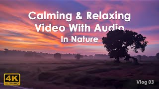 Beauty of Sri Lanka | Calming Music \u0026 Relaxing Video In Nature - Batticaloa \u0026 Pasikuda | 4K Ultra HD