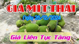 Giá Mít Thái ngày 26/12/2024 | Giá Mít Ruột Đỏ Indo