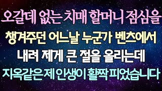 (반전 사연) 오갈데 없는 치매 할머니 점심을 챙겨주던 어느날 누군가 벤츠에서 내려 제게 큰 절을 올리는데 지옥같은 제 인생이 활짝 피었습니다 /사이다사연/라디오드라마