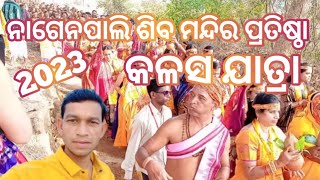 ନାଗେନପାଲି ଶିବ ମନ୍ଦିର ପ୍ରତିଷ୍ଠା || କଳସ ଯାତ୍ରା || Sambalpuri vlogs || Comedy IQ