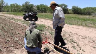 Tesuque Tribal Farms at Tesuque Pueblo