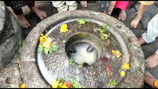 श्री त्र्यंबकेश्वर महादेव दर्शन पूजन | Trimbakeshwar Mahadev #jyotirling