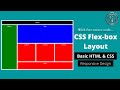 Responsive CSS Flex-box Layout | Basic HTML & CSS