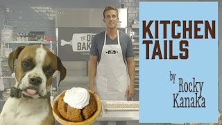 How to Make a Pumpkin Pie for Dogs : Kitchen Tails with Rocky Kanaka