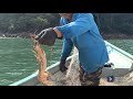 menjaring lobster di laut santubong,sarawak.