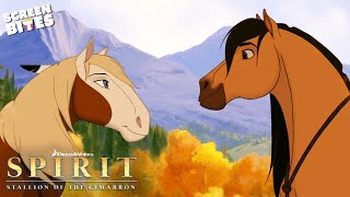 Spirit Falls In Love | Spirit: Stallion of the Cimarron (2002) | Screen Bites