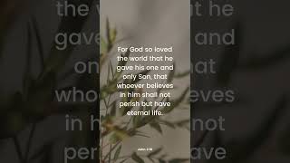 DAILY WORDS OF WISDOM #god #faith #trustfather #hope #love #wordsofwisdom #heaven #pure #jesus