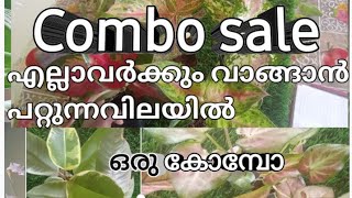 എല്ലാവർക്കും വാങ്ങാൻ പറ്റുന്ന#കോമ്പോസെയിൽ#combo#sale#