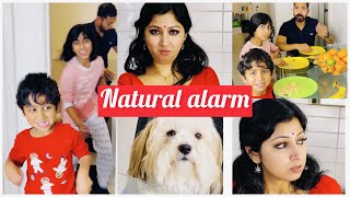 ഞങ്ങളുടെ വീട്ടിലെ natural alarm 🤪 #sijoshriya #malayalamvlog