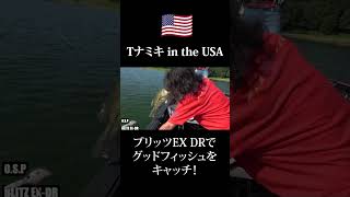 【Tナミキ in the USA】ブリッツEX-DRでグッドサイズをキャッチ！ #shorts #bassfishing