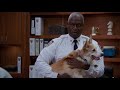 brooklyn nine nine holt reveals his cute secret weapon episode highlight