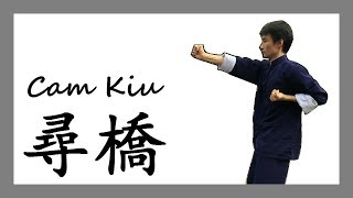 Wing Chun - Cam Kiu (Chum Kiu) [詠春拳 - 尋橋]