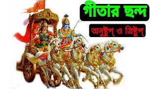 গীতার ছন্দ অনুষ্টুপ্ ও ত্রিষ্টুপ্ | গীতা পাঠ | Gita Path Anushtup Trishtup Chanda | Srbindu