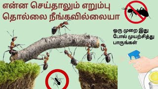 எறும்புத் தொல்லைக்கு உடனடி தீர்வு #எறும்பு #ant #home #safety #tipsandtricks #tips #intamil #tamil