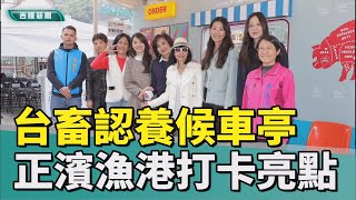 網美打卡!基隆市府攜手台畜認養候車亭 正濱漁港新亮點