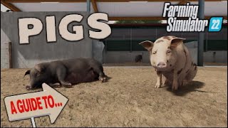 FS22 | A GUIDE TO… ALL THINGS PIGS! | Farming Simulator 22 | INFO SHARING PS5.