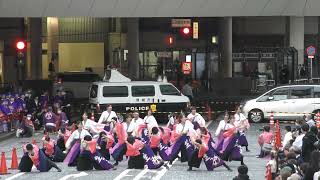 東京学生”生っ粋”　町田夢舞生ッスイ祭　東急会場（コンテスト演舞）