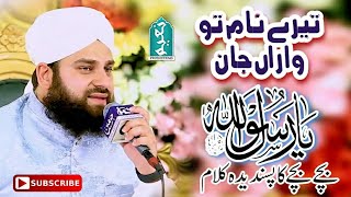 Best Punjabi Naat Tere Naam To Waran Jaan Ya Rasool Allah || Ahmad Raza Qadri || Naeem Productions