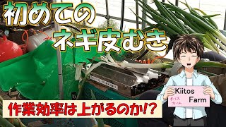 【初めてのネギ皮むき】せっかく買ったんだから、作業効率を上げて、売上を伸ばしたい。