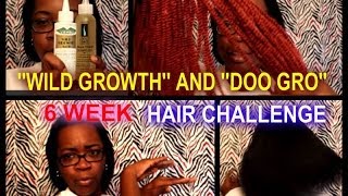 Wild Growth And Doo Gro 6 Week Hair Challenge Wild Growth And Doo Gro 6 Week Hair Challenge Music Jinni