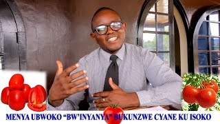 INYANYA: Menya ubwoko bukunzwe cyane ku isoko bw'inyanya  ube aribwo uhinga kuko zikenewe na benshi.