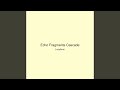 Echo Fragments Cascade