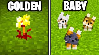 43 NEW Changes Coming To Minecraft 26.1