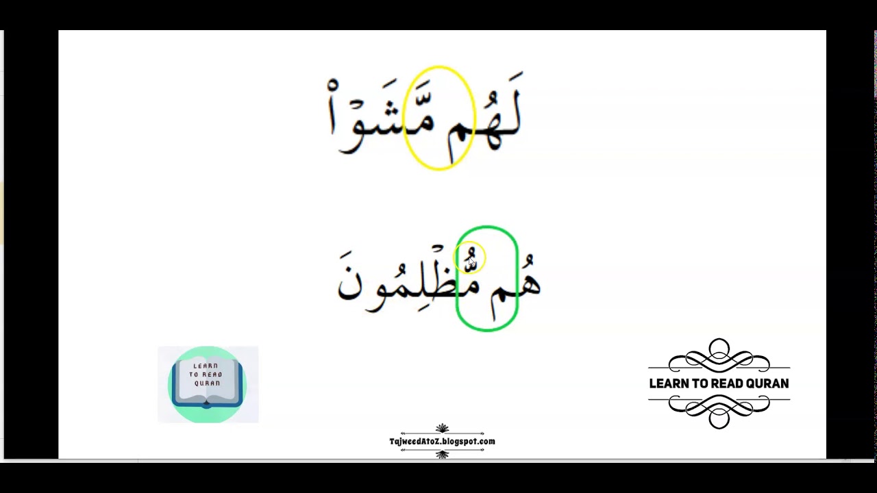 Basic Tajweed Meem Sakinah Rules Youtube